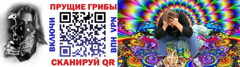 Галлюциногенные грибы прущие грибы  Купить  Донской 